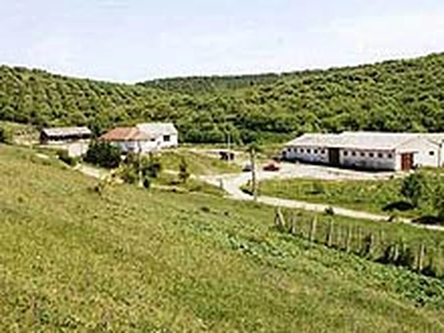 Raksta foto
