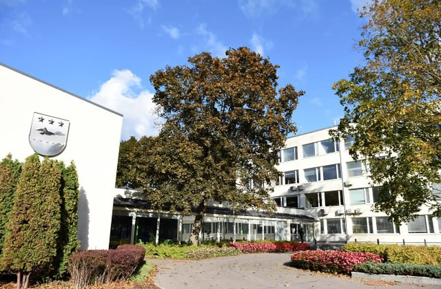 Raksta foto