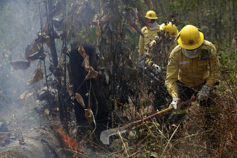 Tuletõrjujad kustutamas Brasiilias Porto Velhos vihmametsa põlengut