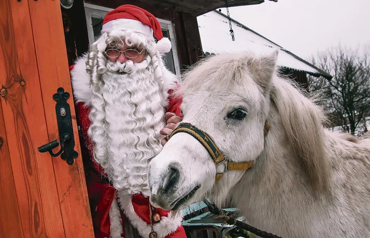 Jõuluvana Korstna talus resideerivad aasta ringi jõulutaadid ja jõulumemmed ning palju loomi.