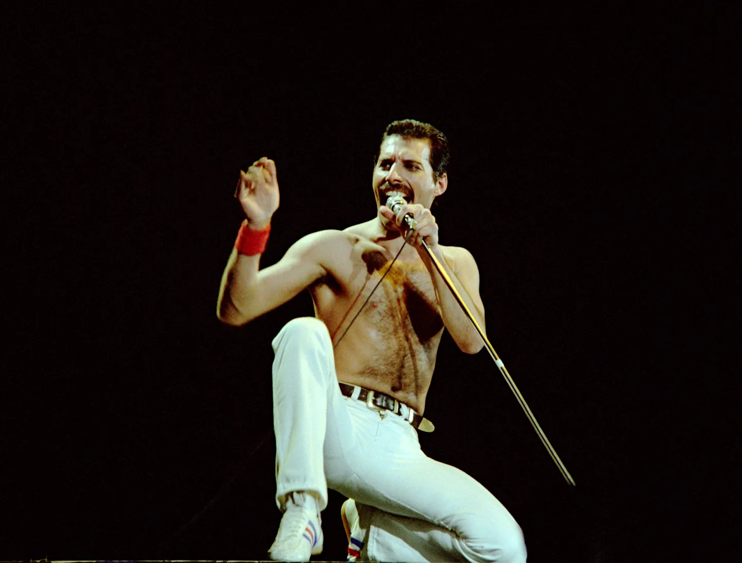 Rokkbändi Queen endine solist Freddie Mercury.