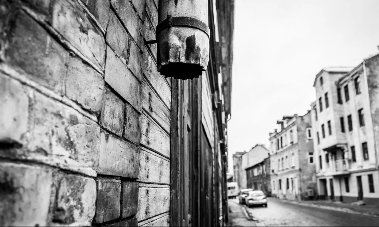 Фото статьи