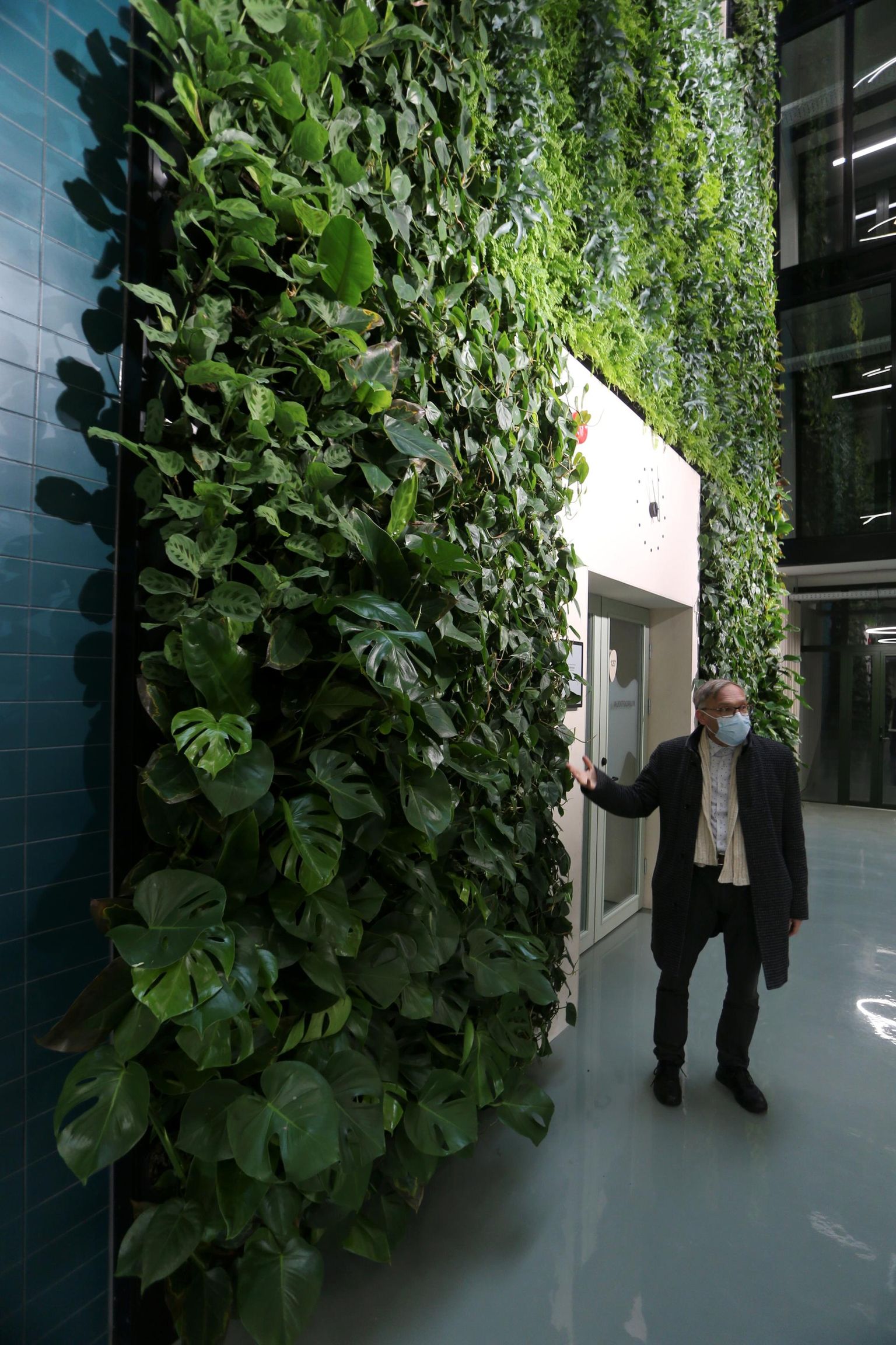 Õppehoone kuuel korrusel kõrguv taimesein oli botaanikaprofessor Meelis Pärteli sõnul ökosüsteemi meenutava maja kujundamisel üks alustala.