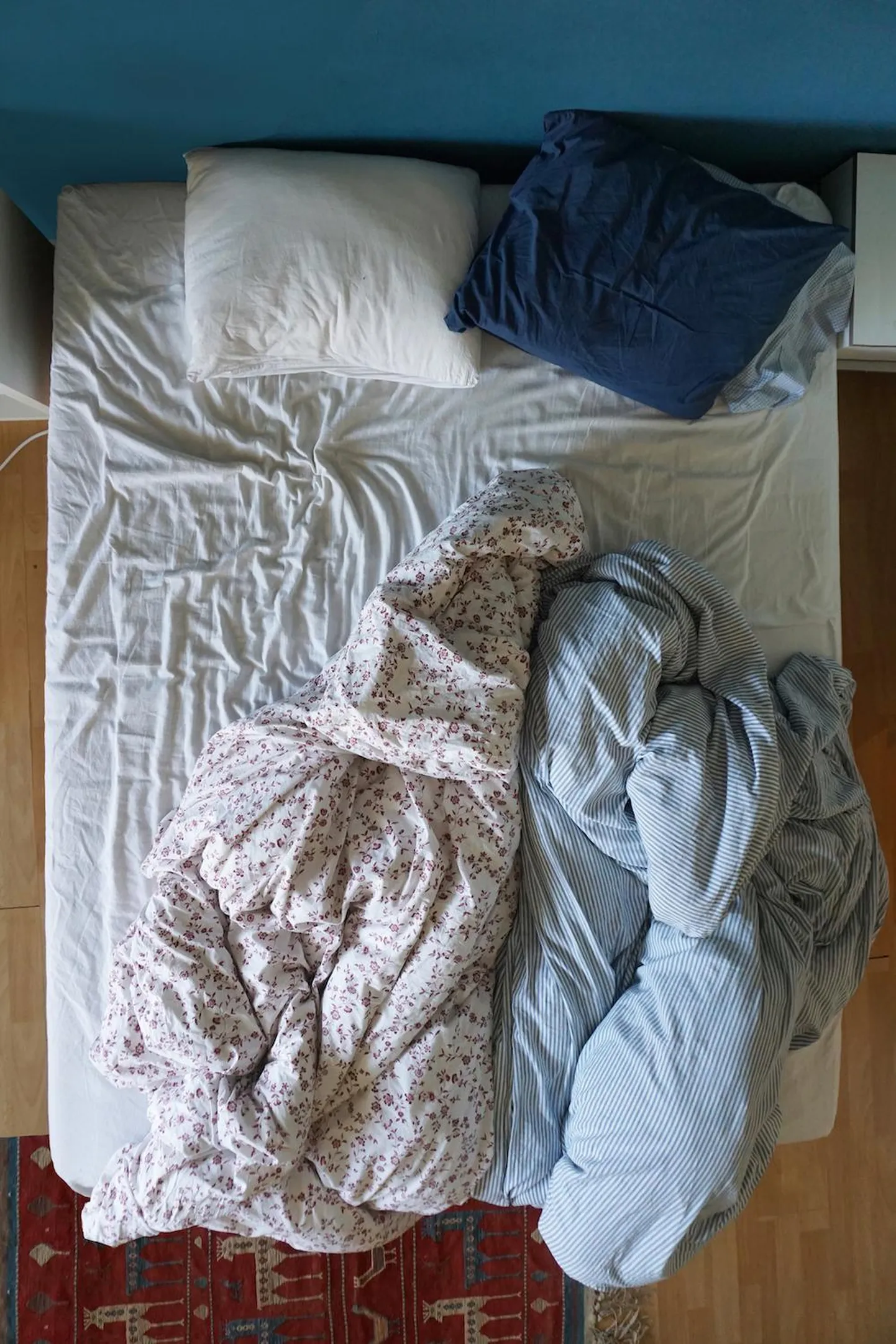 Katariin Mudisti «Nähtamatud kohalolijad».
