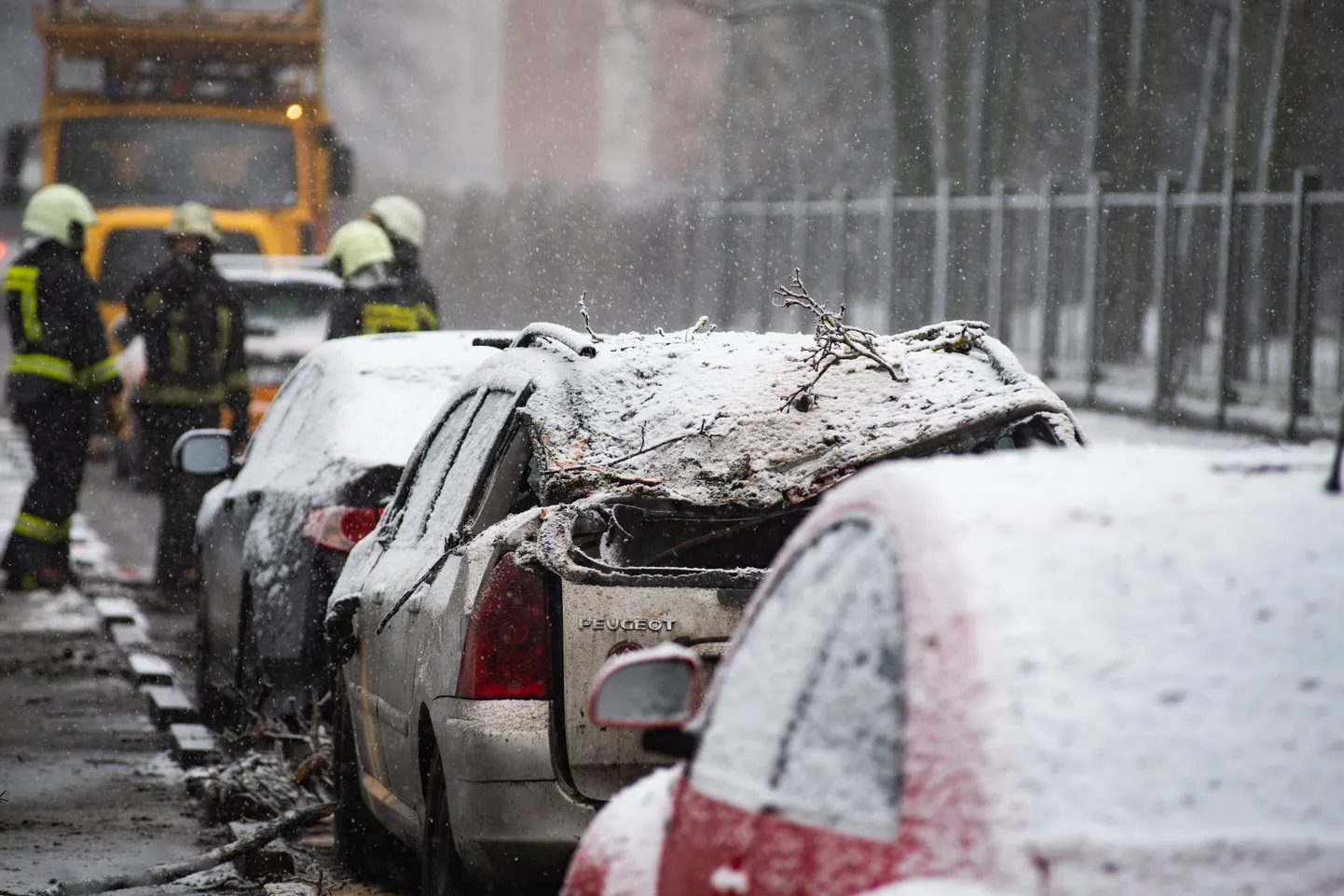 Foto: Melnsila un Kapseļu ielas krustojumā lūzis koks, bojāta automašīna un ierobežota satiksme
