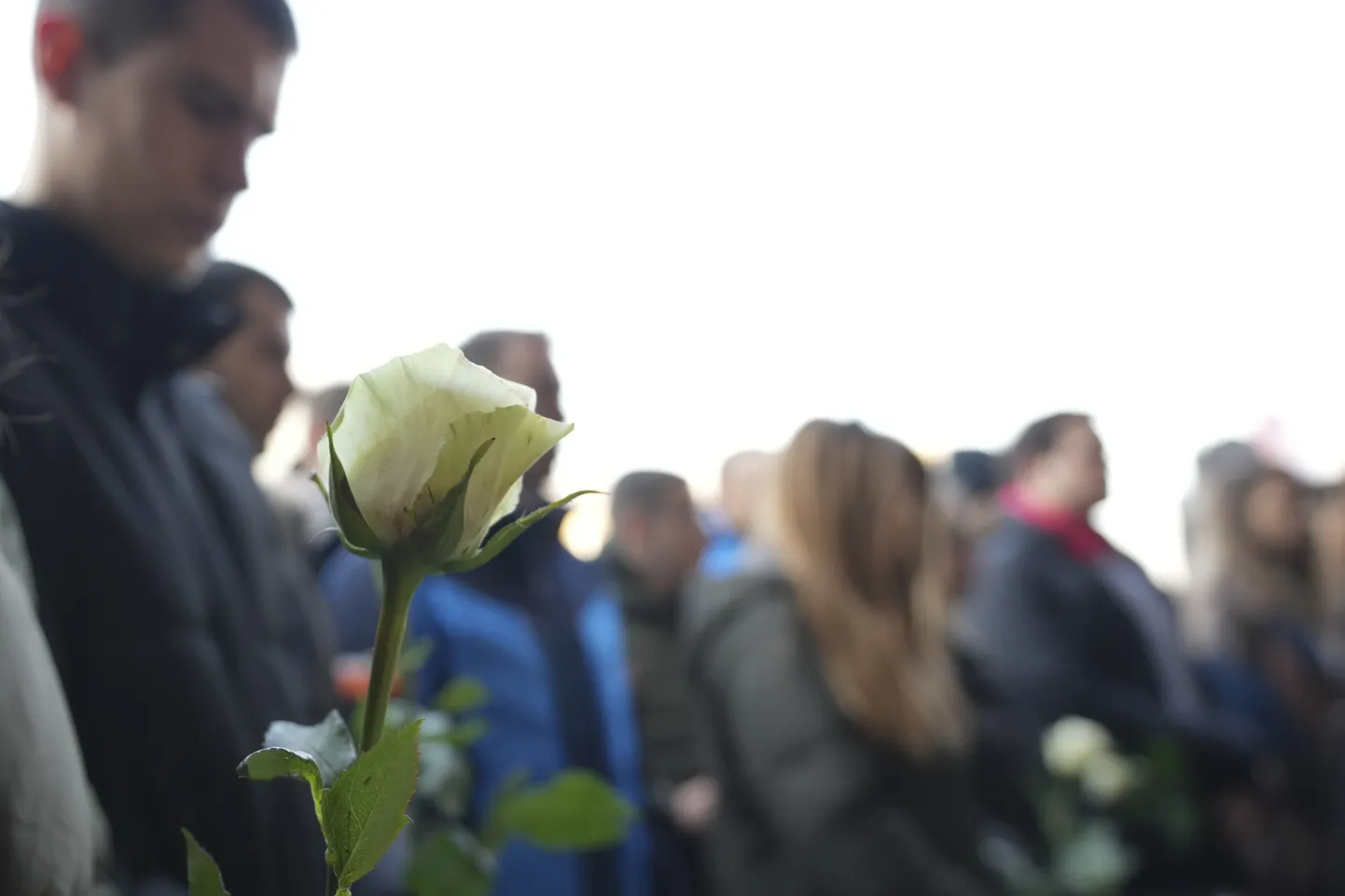 Õpilased tõid Belgradi kohtu ette lilli ja pidasid leinaseisaku.