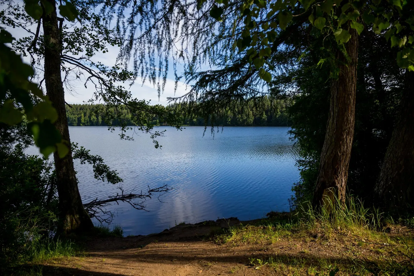 Uljaste järve uppus alkoholijoobes ujuma läinud meesterahvas.
