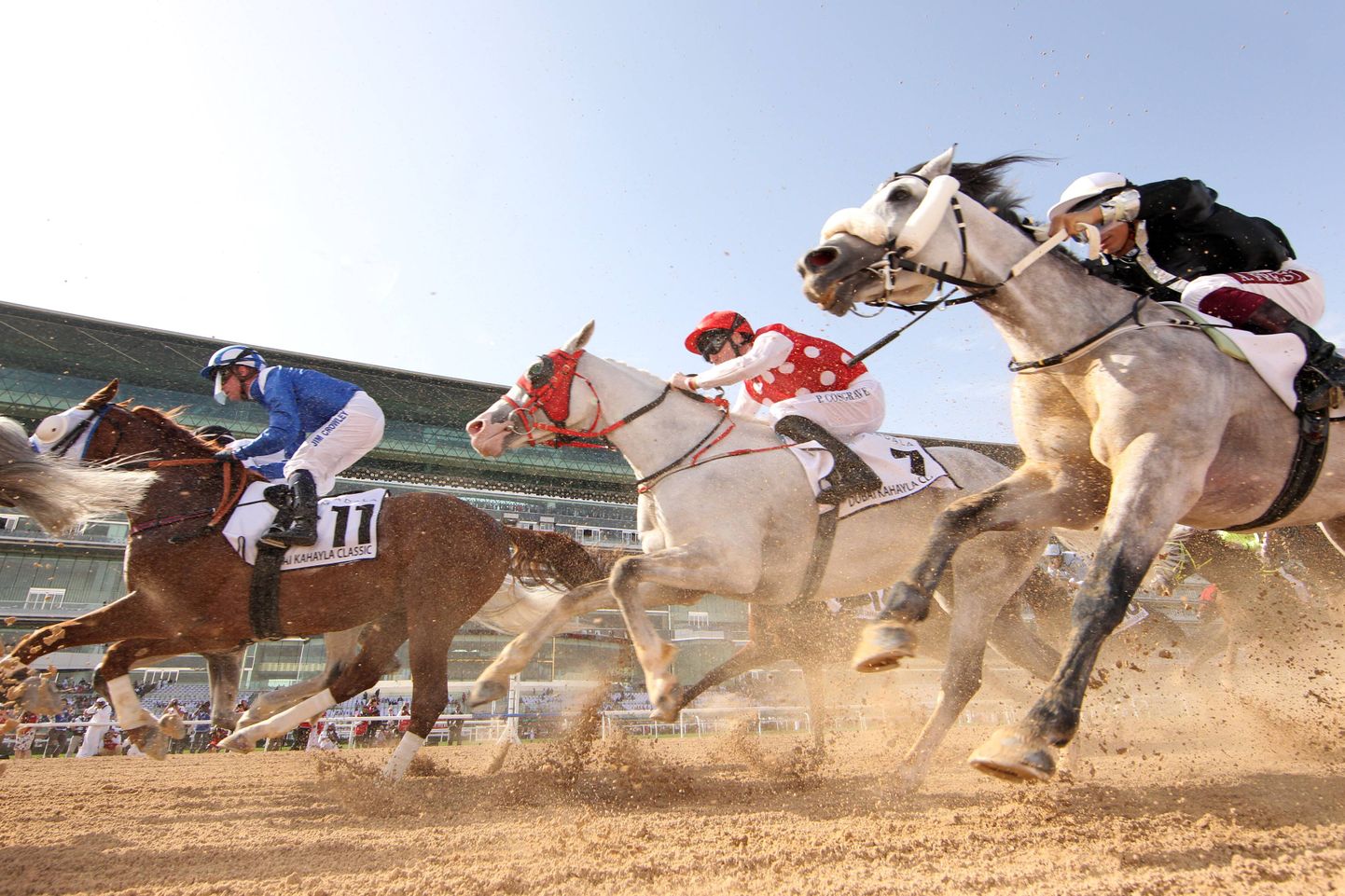 Raharohkemad ratsavõistlused toimuvad naftariikides. Foto on tehtud mulluselt Dubai ratsavõisltuselt.