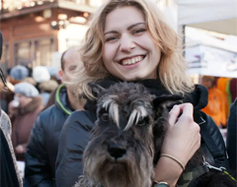 Raksta foto