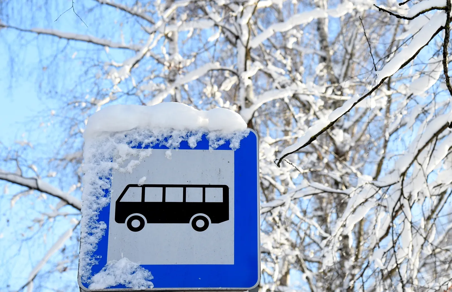 Sabiedriskā transporta pieturvieta Spulgas ielā.