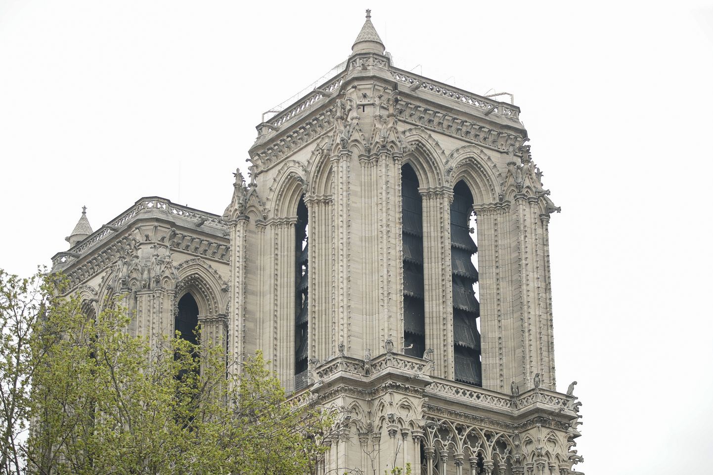 Jumalaema kirik Pariisis. Päev pärast ulatuslikku põlengut.