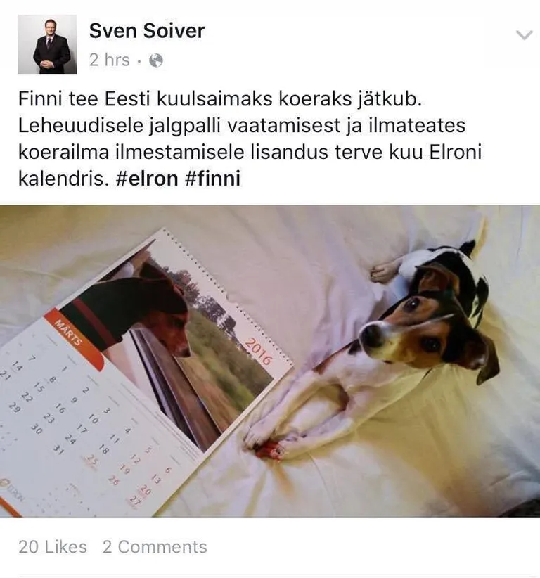 Artikli foto