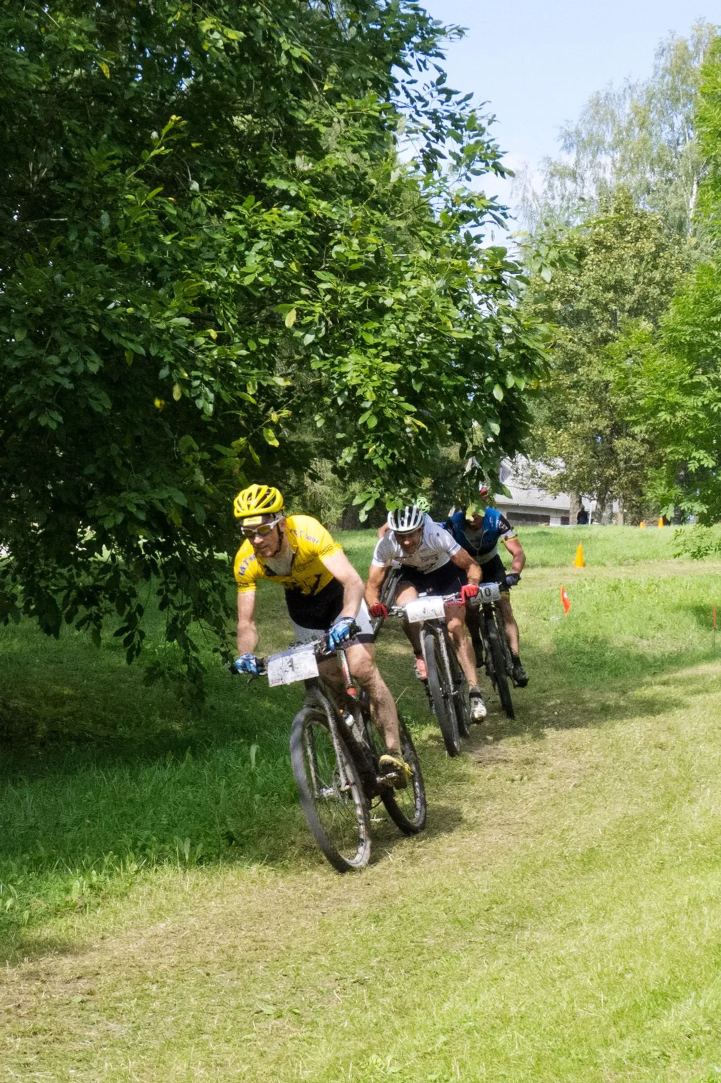 Hawaii Express Estonian Cup.