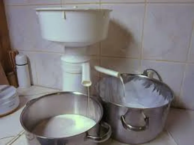 Artikli foto