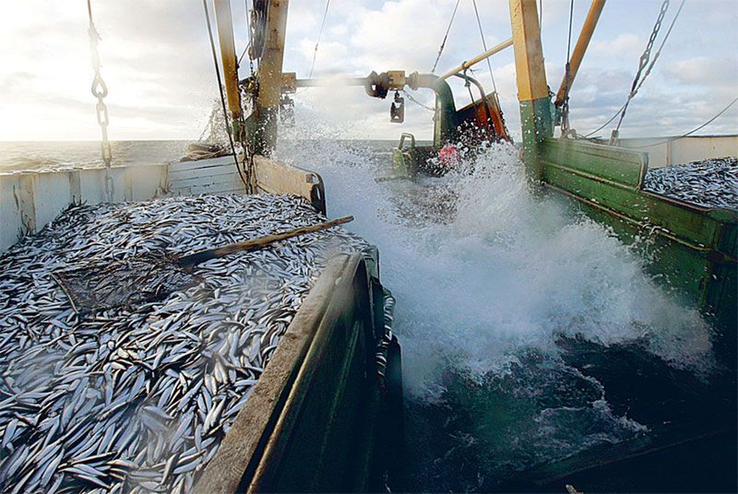 Hiina kalalaevad püüavad kala seadusevastaselt. Foto on illustratiivne.
