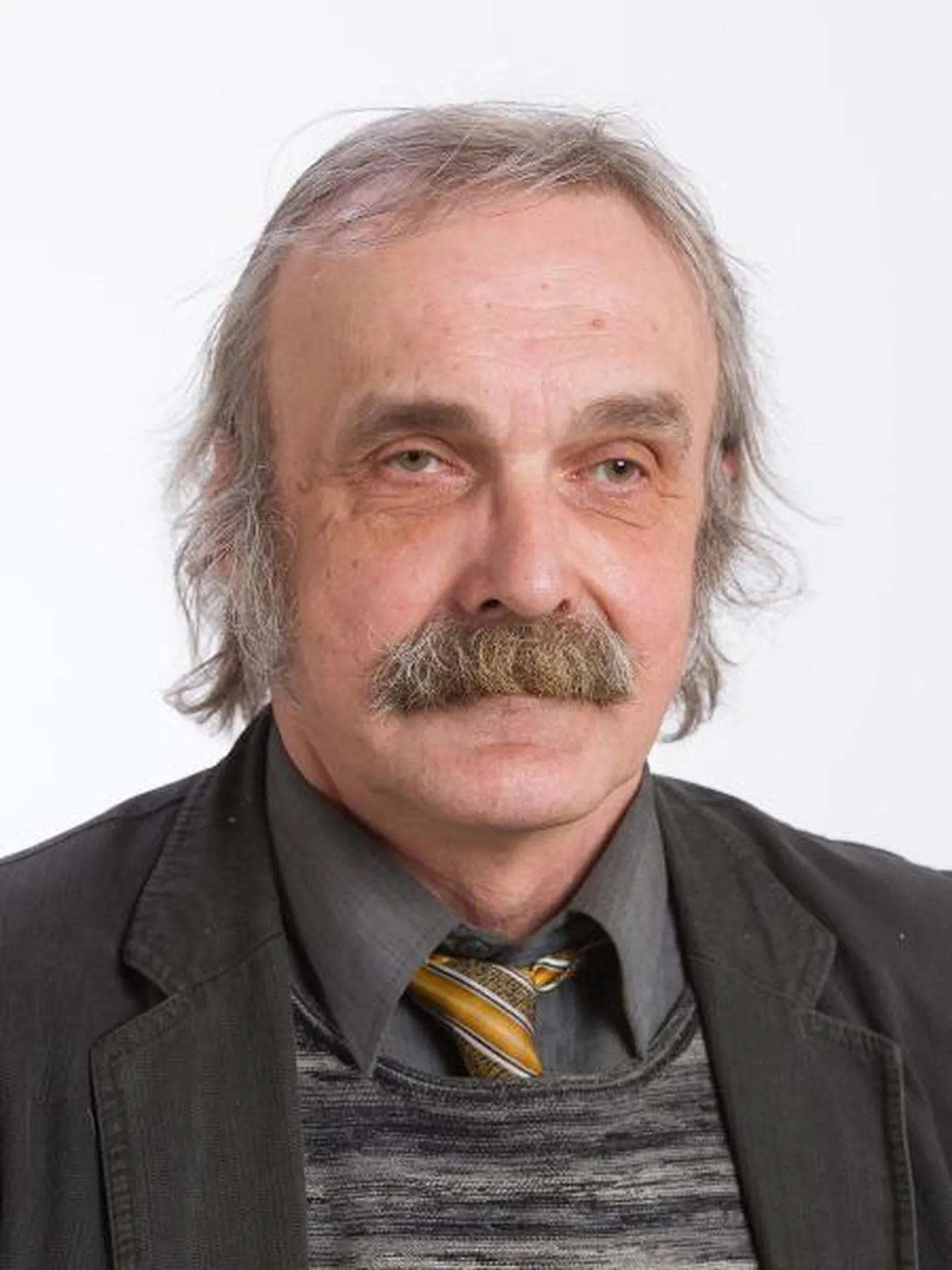 Heiki Epner, Tartu Ülikooli raamatukogu digikogude analüütik