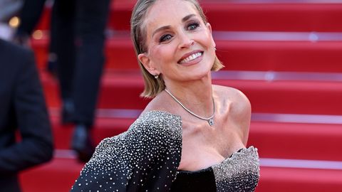 «Olen üsna pikalt tsölibaadis olnud.» 68-aastane Sharon Stone ootab endiselt elu suurt armastust