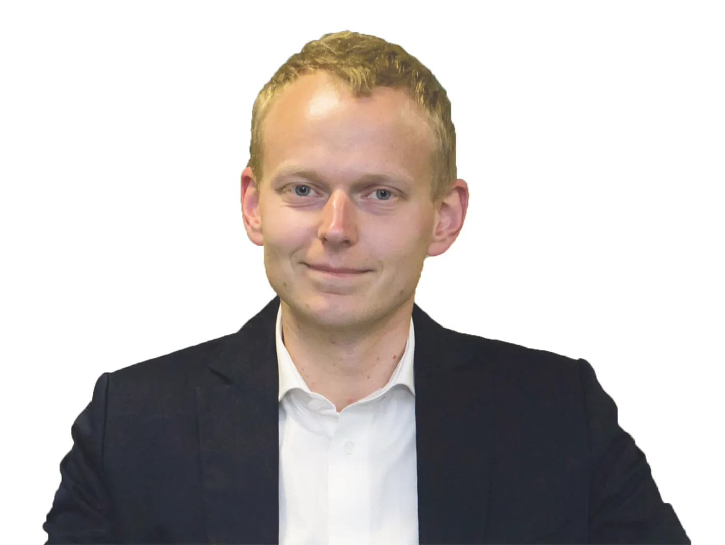 Mihkel Nestor, SEB majandusanalüütik