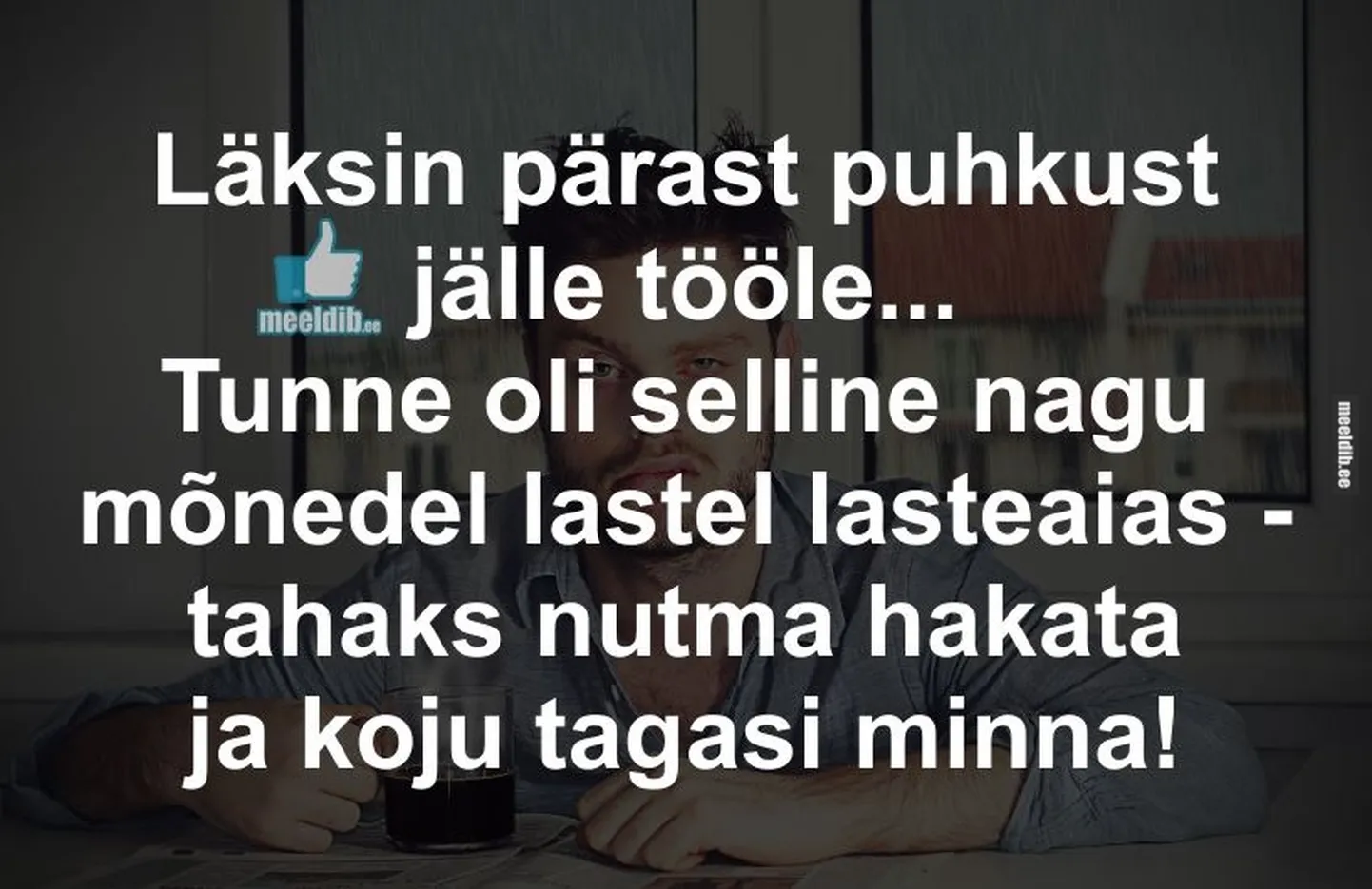 Artikli foto