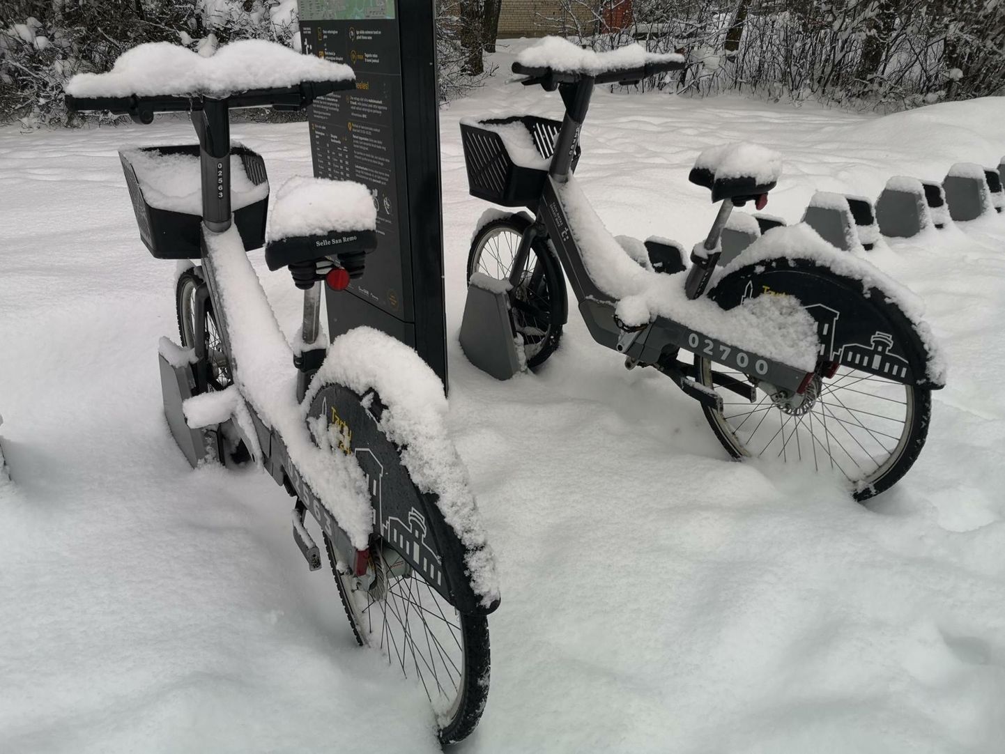 Парковка прокатных велосипедов на улице Калда в Тарту.
