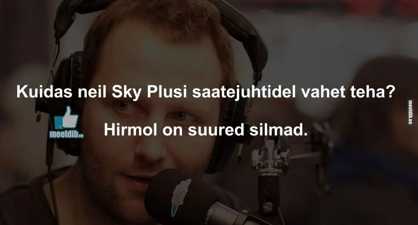 Artikli foto