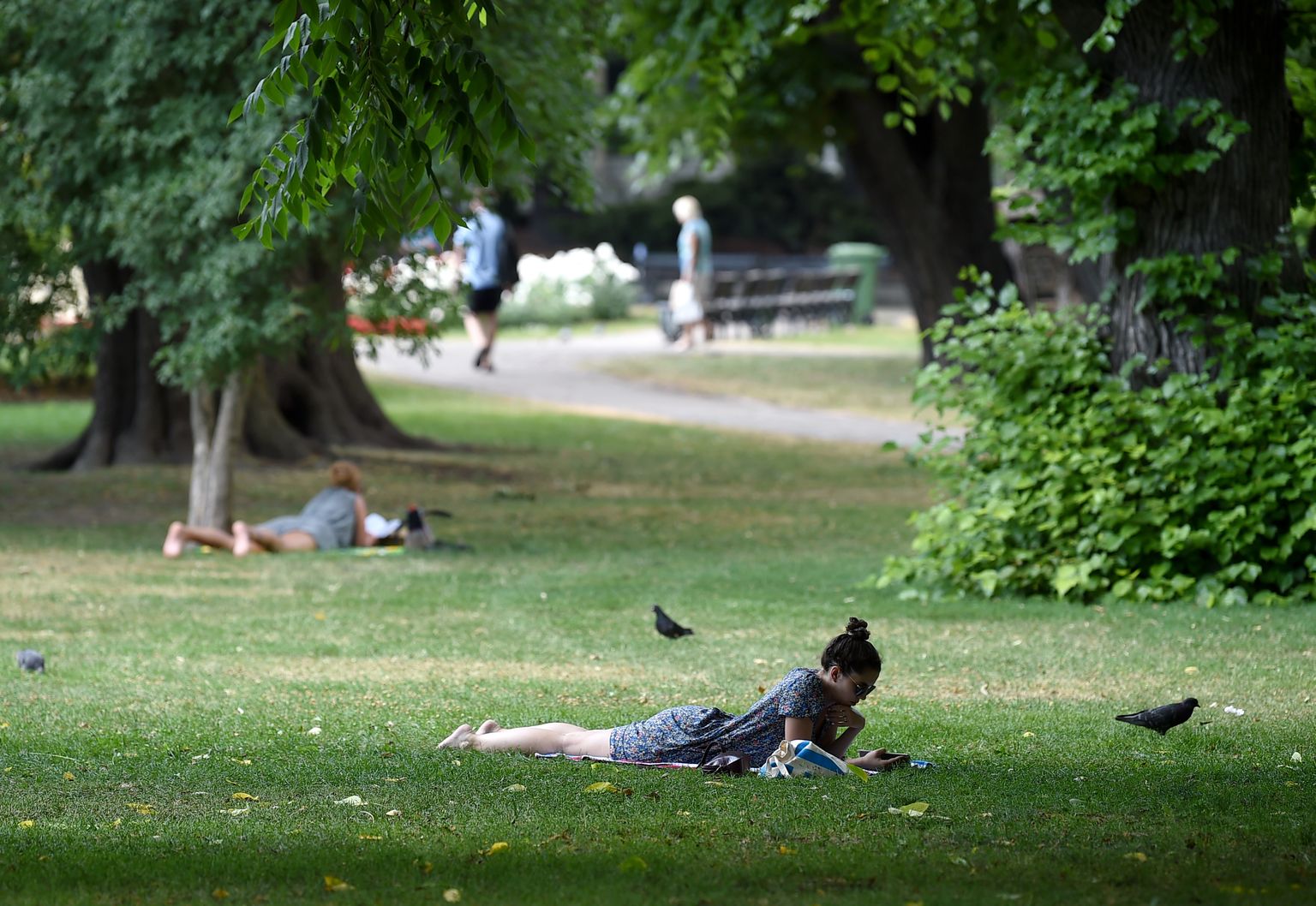 Люди отдыхают в Верманском парке