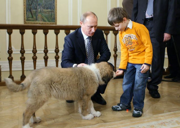 Любимцы Путина. Какие собаки живут у президента России | Питомцы вторсырье-м.рф | Дзен