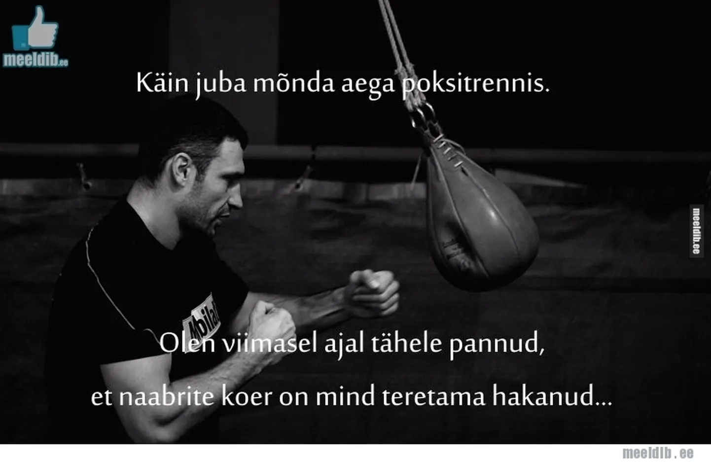 Artikli foto