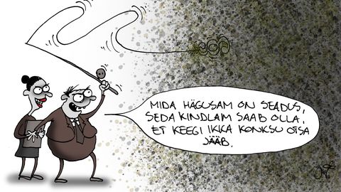 Õigusriik nõuab selgust: kas seadus on kõigile üheselt mõistetav?