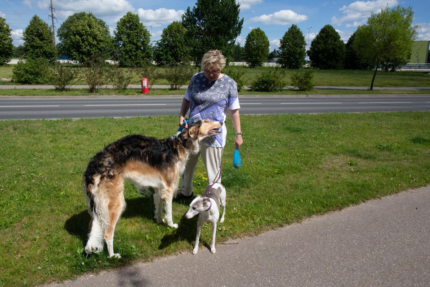 Hurda (suurem koer) omanik Liisa Vesik on oma lemmiku halba käitumist tunnistanud ja lubanud koeraga kooli minna.