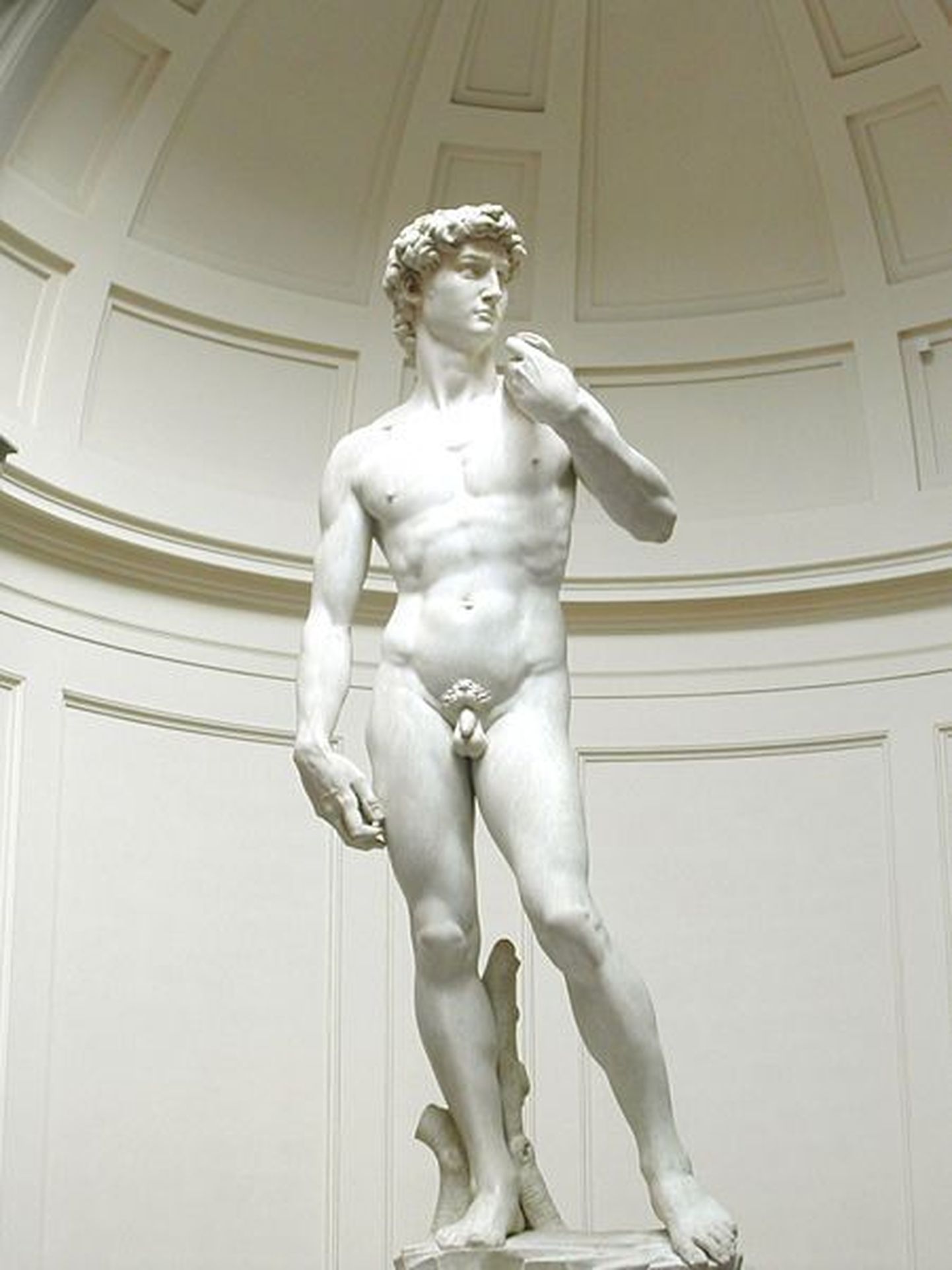 Michelangelo Taavet