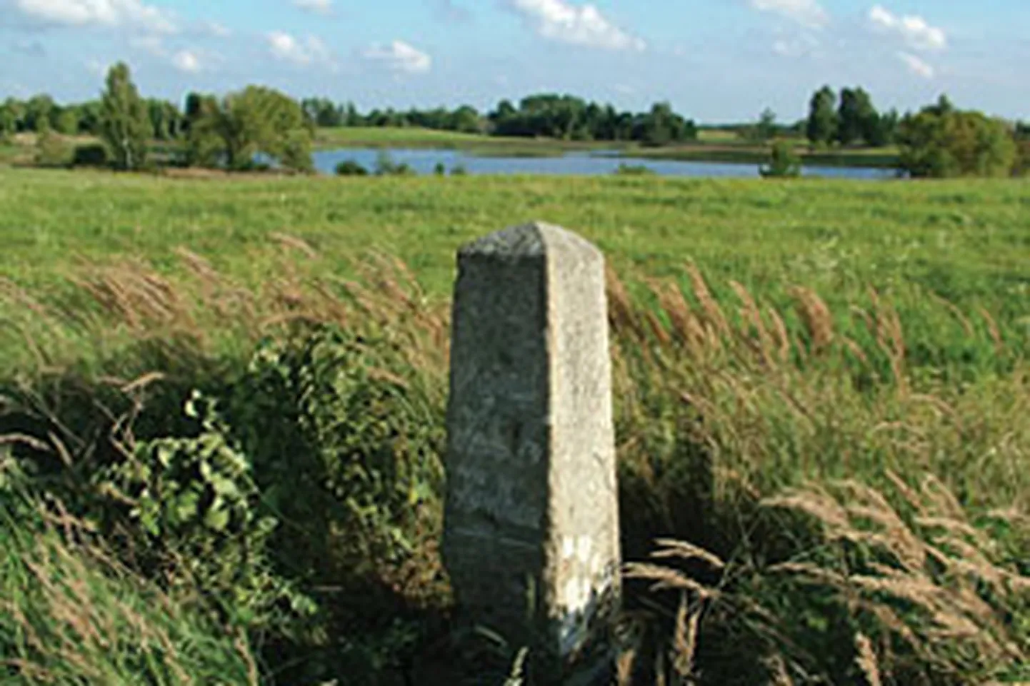 Raksta foto