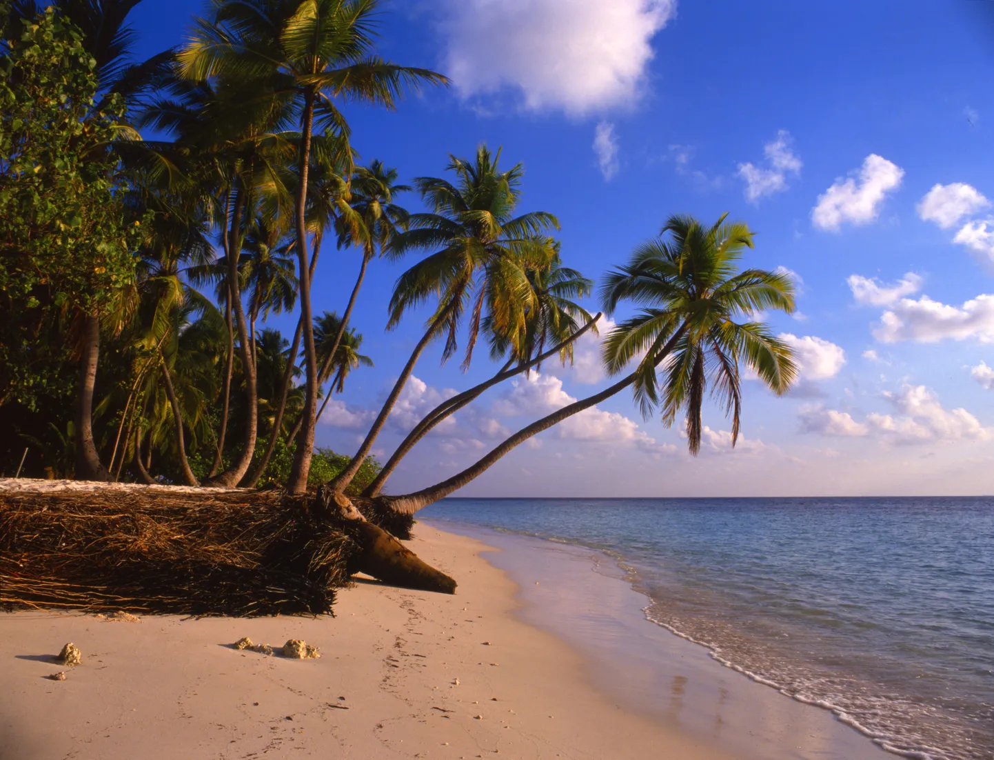 Maldiivid.