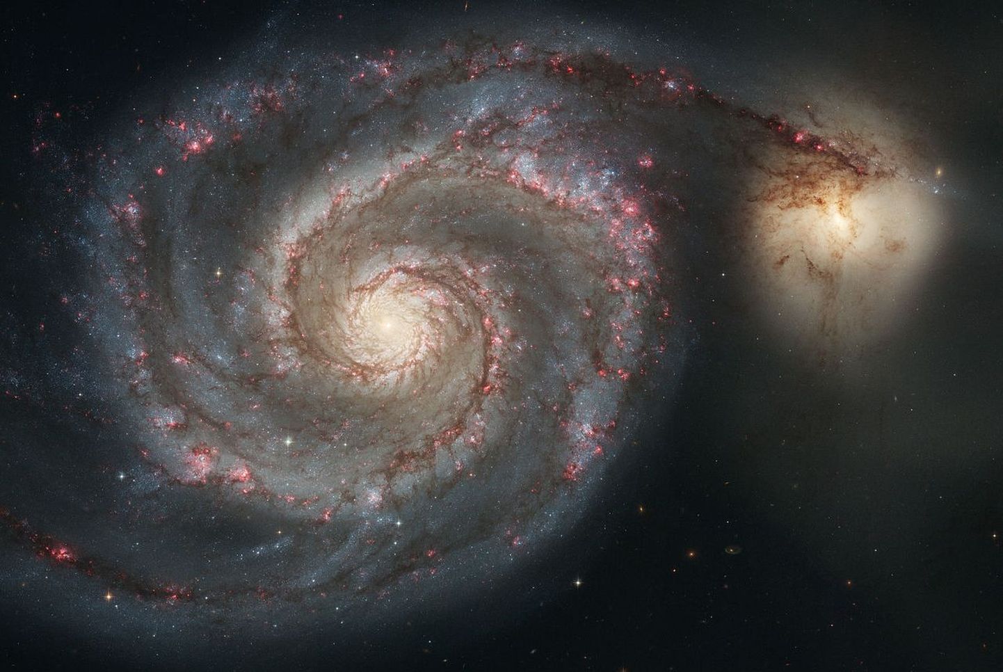 Veekeerise galaktika koos NGC5195 väikegalaktikaga, kus asub «röhitsev» must auk