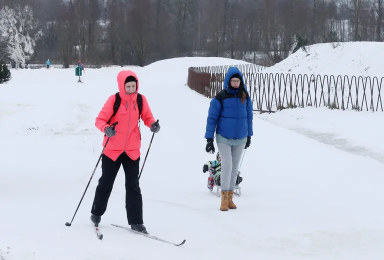Siin on kõik kontrolli all, mõlemad liiklejad on teineteist märganud. Aga just kelgutee ja suusaraja ristumiskohas võib olla kokkupõrkeoht.