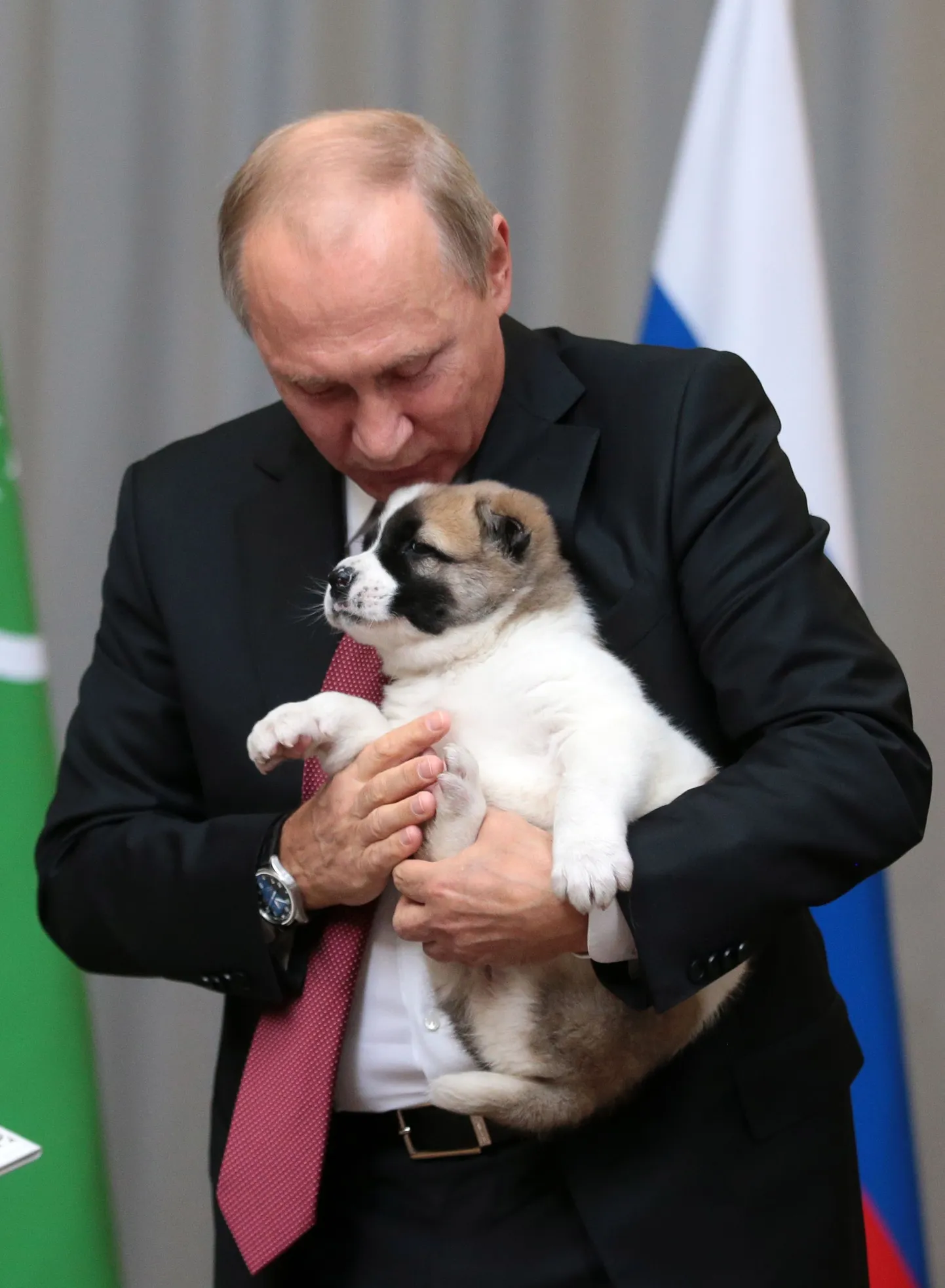Встреча президента России Владимира Путина с коллегой Гурбангулы Бердымухамедовым.