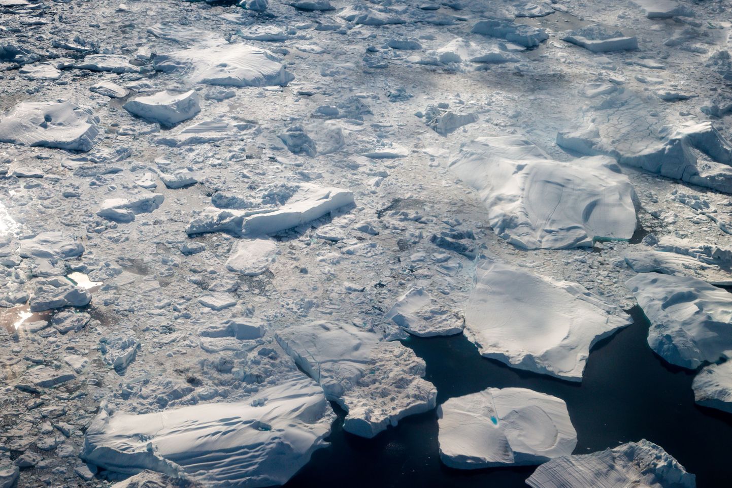 От Антарктиды откололся айсберг весом 315 млрд тонн.