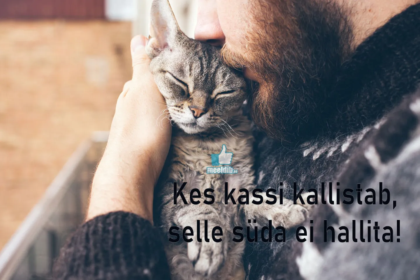 Artikli foto