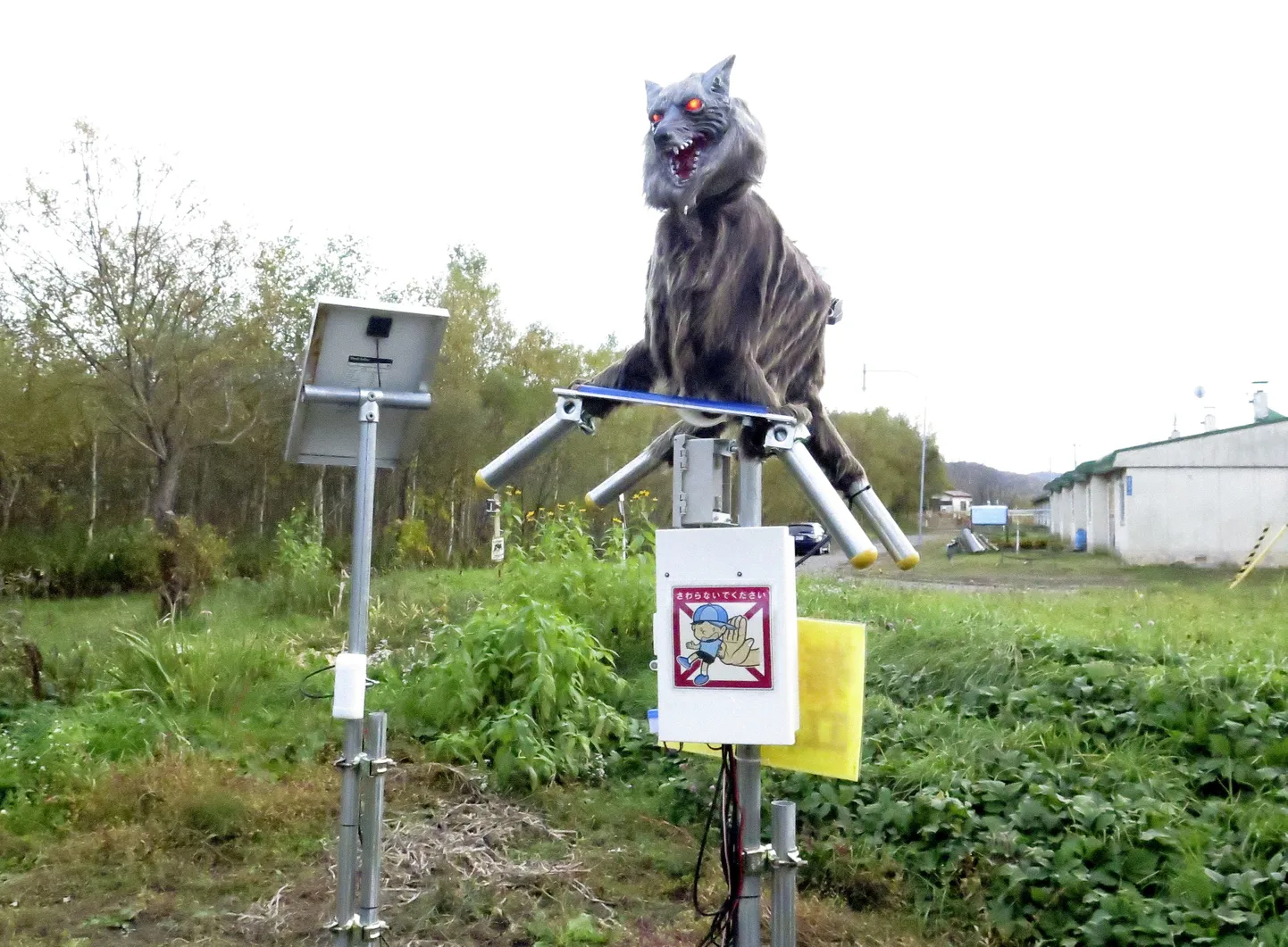 Takikavas pilsētas "mehāniskais vilks".