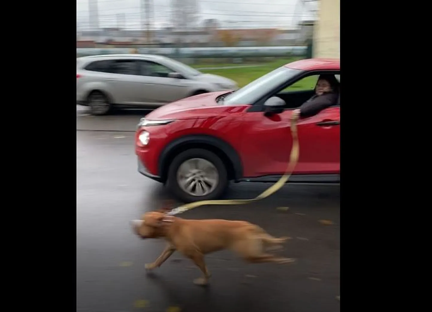 Raksta foto