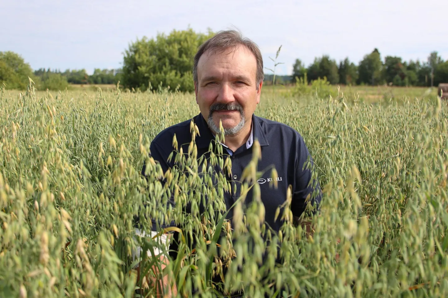 Valga vallas asuva Vastse Mustakese talu peremees Rein Rosenberg pole sellel aastal veel kombainiga põllul käinud. Aga juba sel nädalal on see tal plaanis.