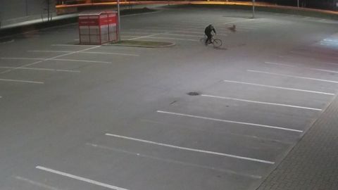 Самое странное нападение года: в Тарту косуля сбила в прыжке велосипедиста
