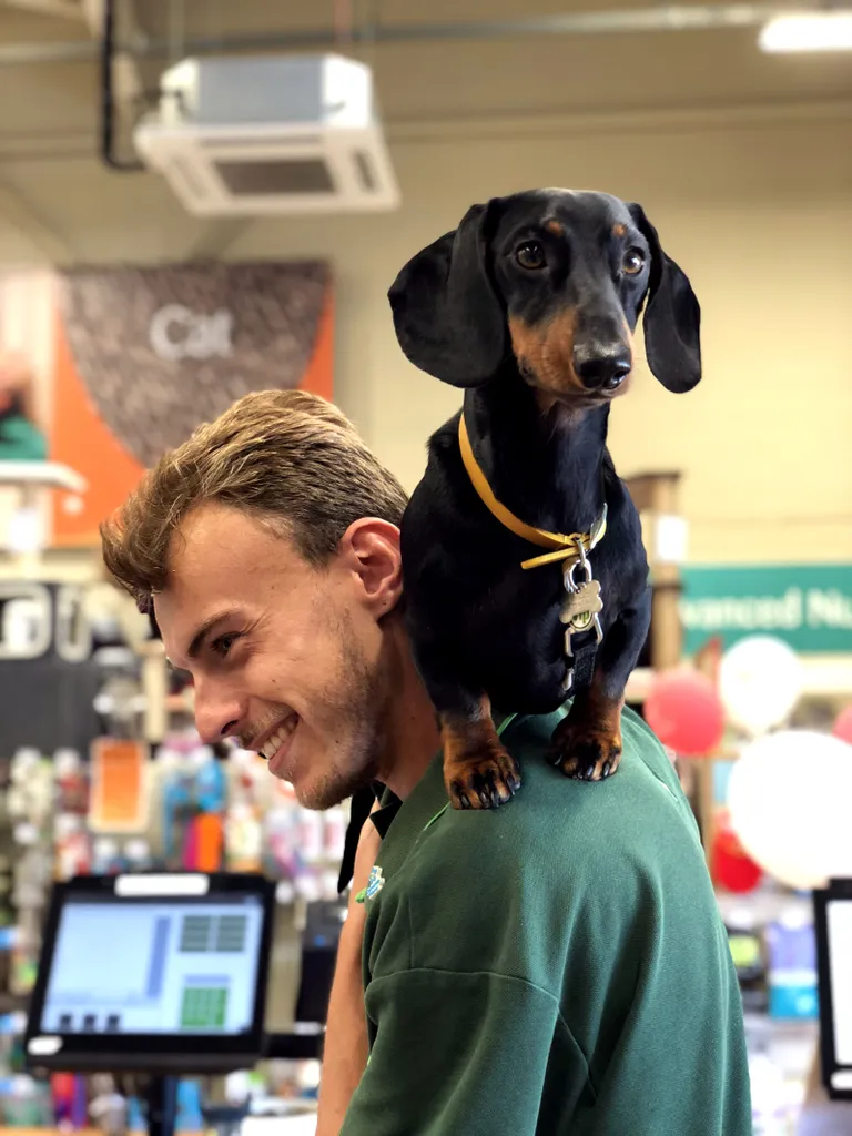 Frankie on töökaaslastele väga armsaks saanud.