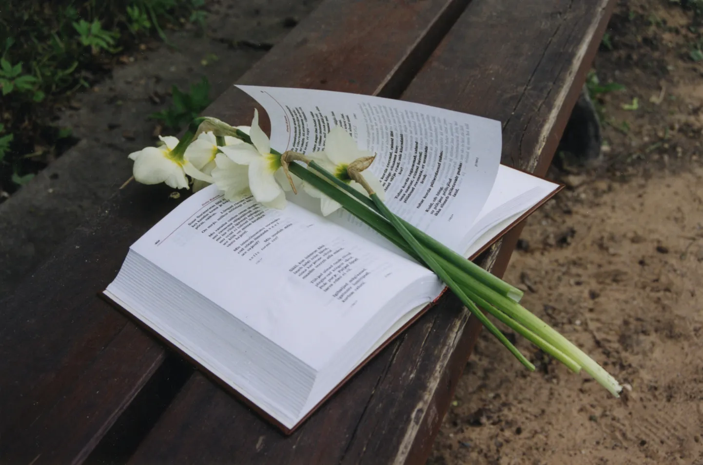 Pildil Doris Kareva luuletused.
