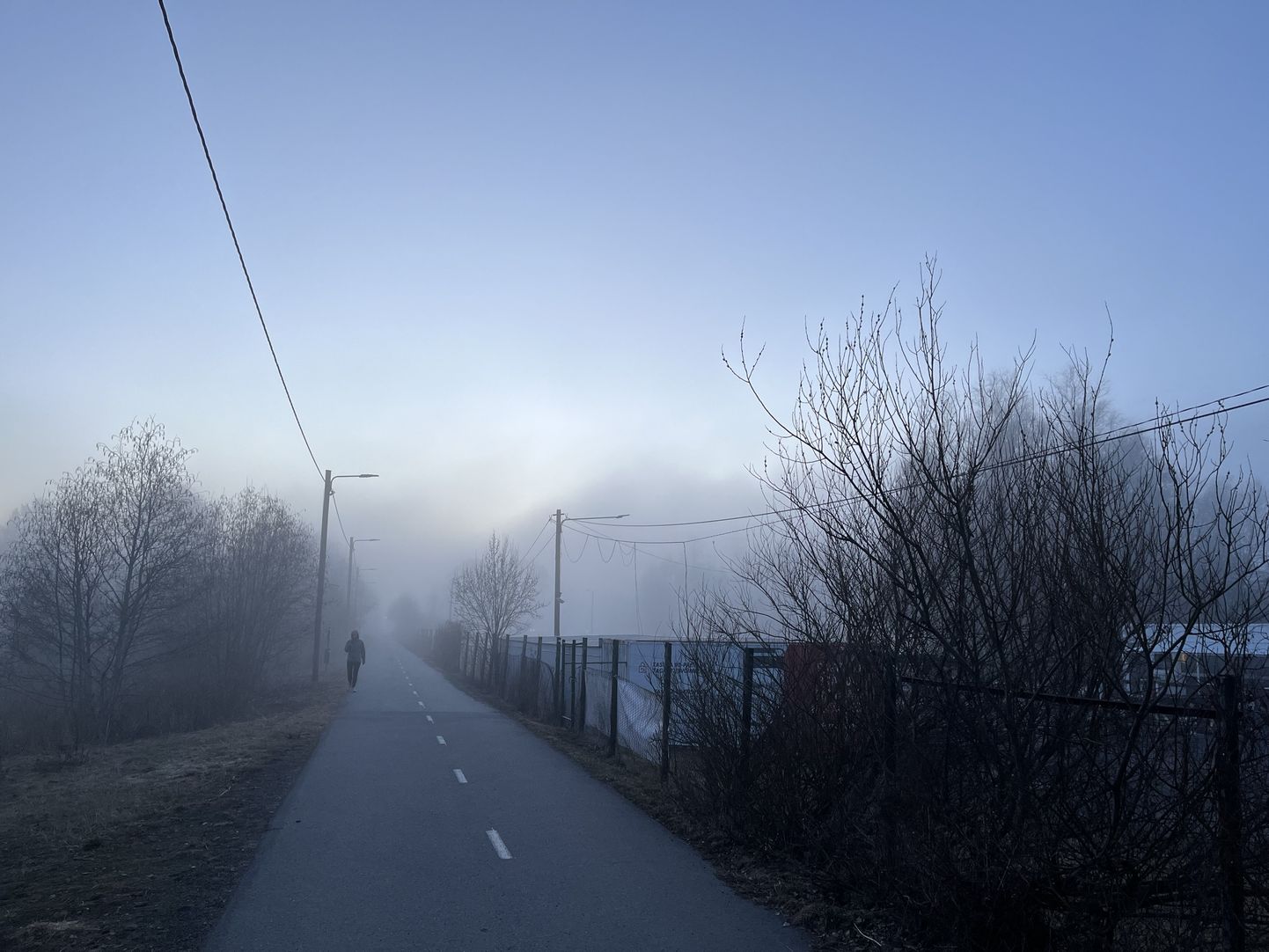 Туман в Таллинне.