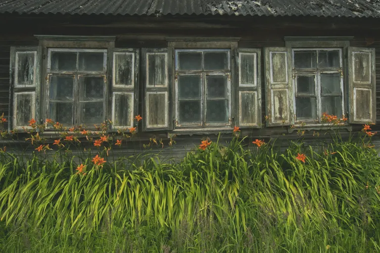 Raksta foto