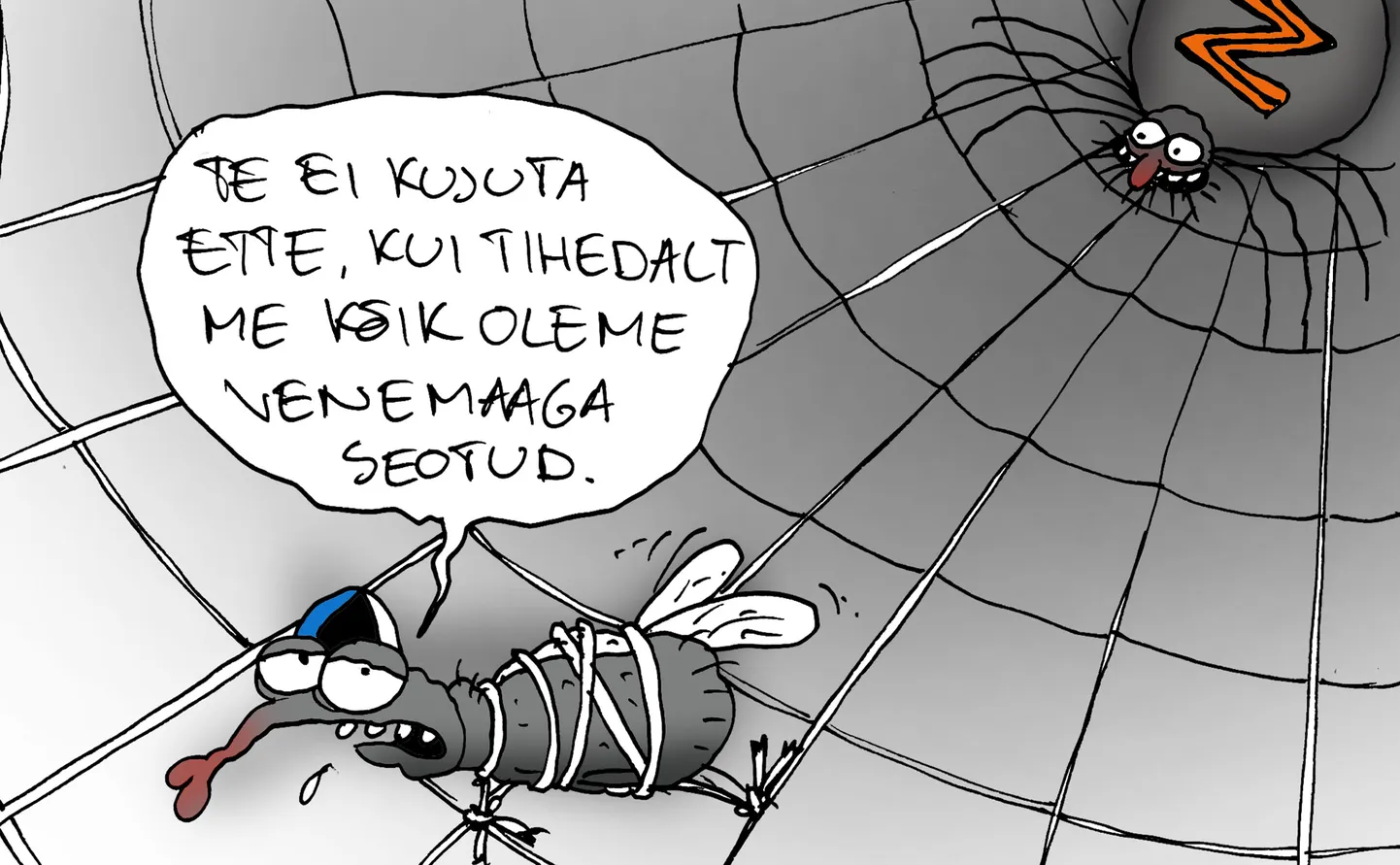 Artikli foto