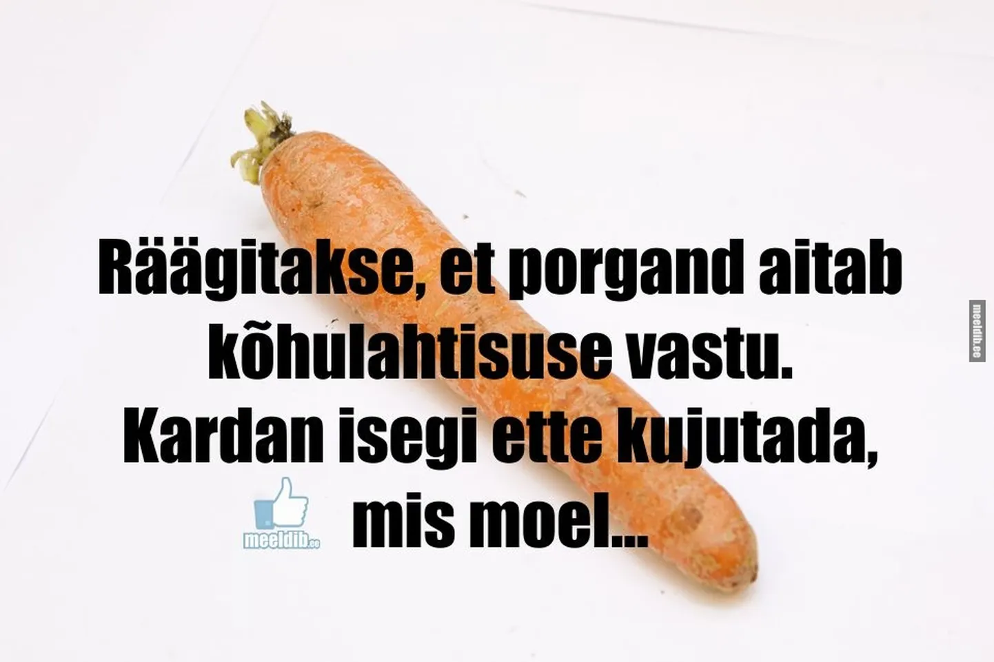 Artikli foto