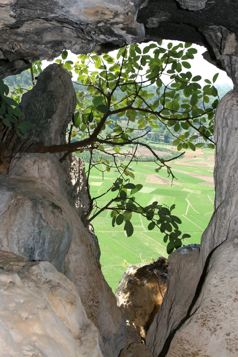 Нора, где была найдена окаменелость Gigantopithecus.