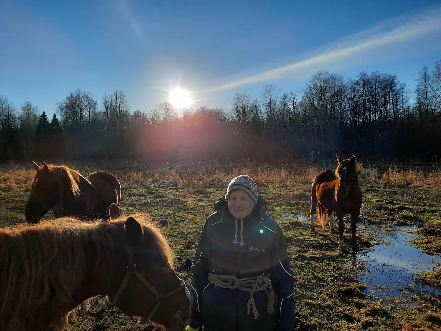 Ulvi Rosenberg tänas, et tema mure jõudis ajalehte, sest muidu poleks vald teda ilmselt aidanud.